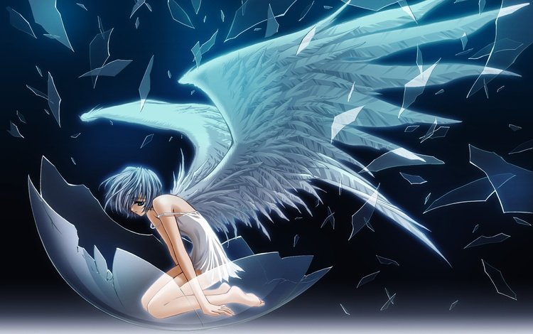 крылья, ангел, осколки, стекло, wings, angel, fragments, glass