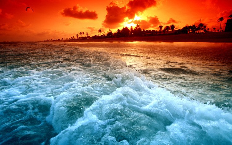 берег, волны, закат, пляж, пальмы, shore, wave, sunset, beach, palm trees