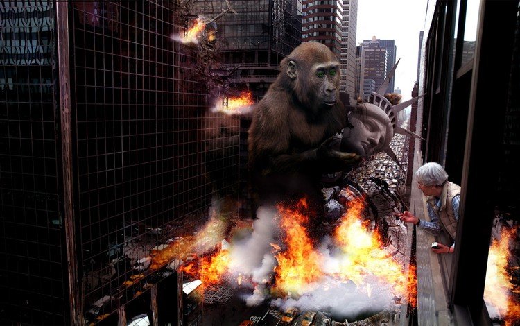 город, разрушения, обезьяна, the city, destruction, monkey