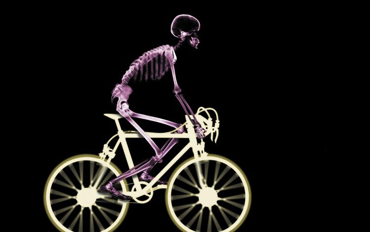 рентген, скелет, велосипед, x-ray, skeleton, bike
