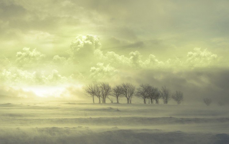 облака, деревья, снег, clouds, trees, snow