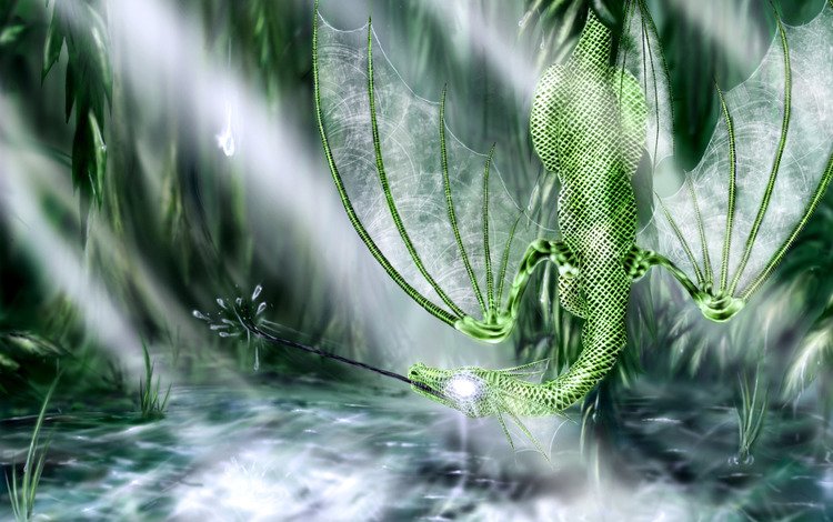 болото, дракон, зелений, swamp, dragon, green