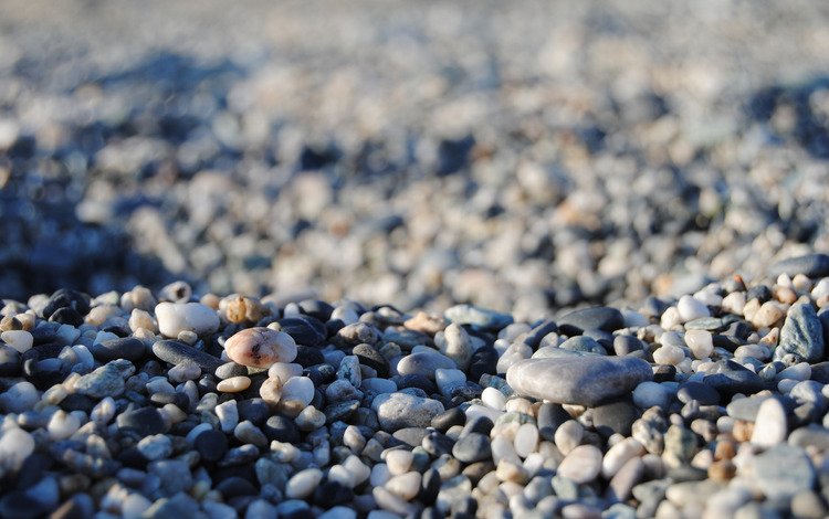 камни, море, много камней, stones, sea, many stones