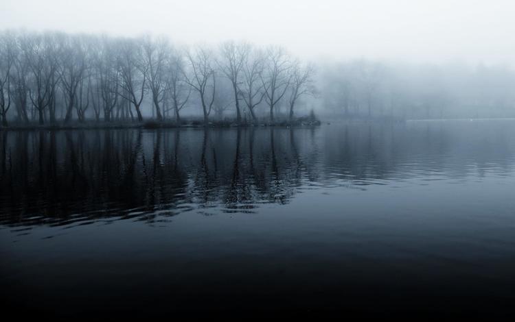 река, берег, лес, утро, туман, чёрно-белое, прохлада, river, shore, forest, morning, fog, black and white, cool