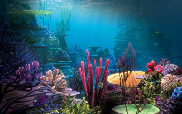 природа, дно, океан, кораллы, риф, подводный мир, nature, the bottom, the ocean, corals, reef, underwater world