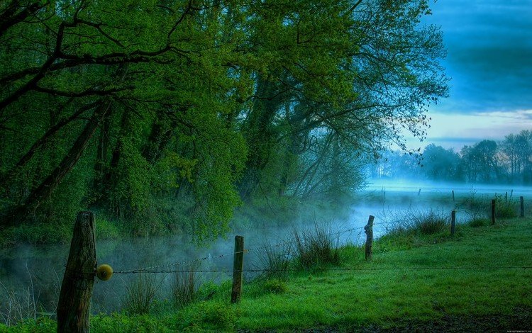 река, утро, туман, луг, river, morning, fog, meadow
