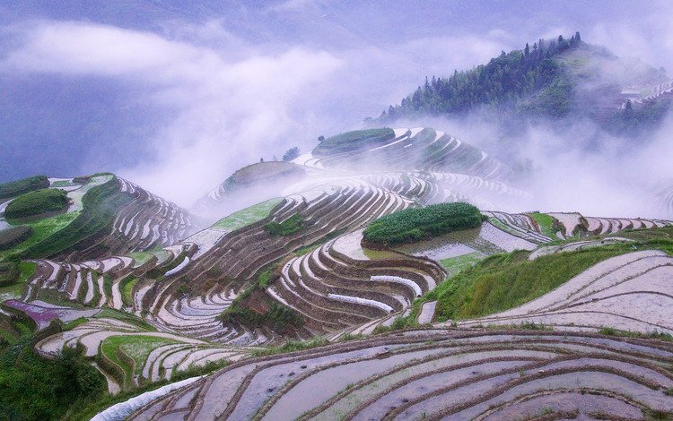 горы, туман, китай, рисовые поля, mountains, fog, china, rice fields