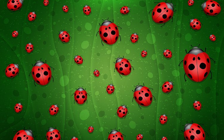 зелёный, фон, божьи коровки, green, background, ladybugs