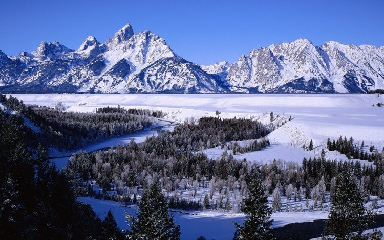 деревья, река, горы, снег, зима, леса, дельта, trees, river, mountains, snow, winter, forest, delta