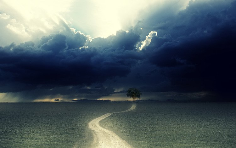 дорога, облака, дерево, road, clouds, tree