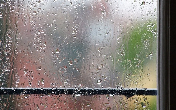 дождь, окно, поручень, rain, window, handrail