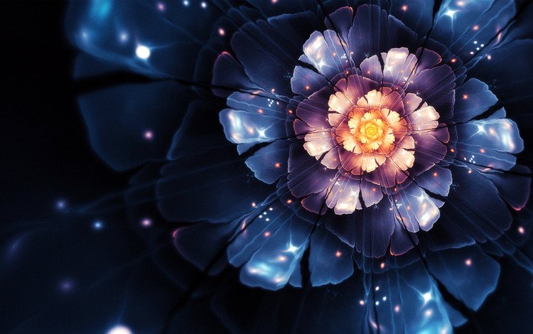 цветок, лепестки, фракталы, графика, черный фон, the scent of the night, фрактал, 3д, flower, petals, fractals, graphics, black background, fractal, 3d