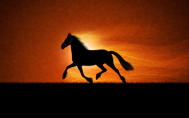 рисунок, лошадь, figure, horse