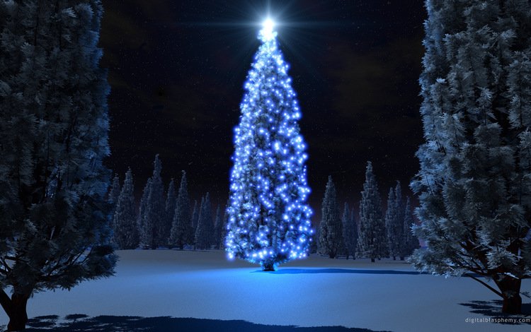ночь, елка, фонарики, night, tree, lanterns