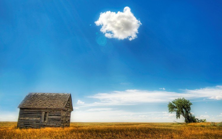 облака, дерево, поле, дом, clouds, tree, field, house