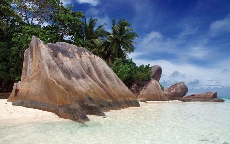 камни, берег, пляж, пальмы, тропики, сейшелы, stones, shore, beach, palm trees, tropics, seychelles