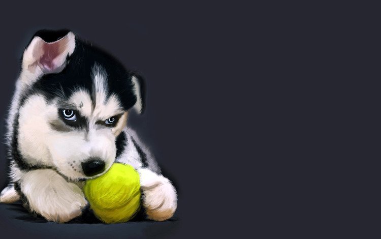 рисунок, собака, щенок, хаски, мячик, figure, dog, puppy, husky, the ball
