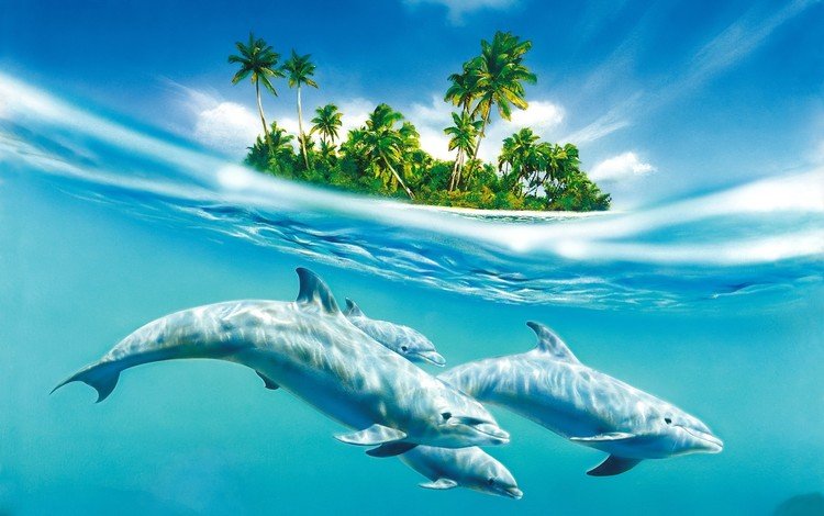 вода, остров, дельфины, water, island, dolphins
