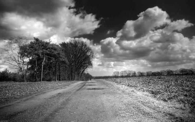 дорога, облака, поле, черно-белая, road, clouds, field, black and white