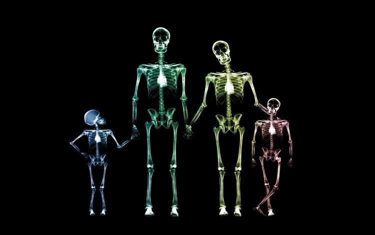 семья, рентген, скелет, family, x-ray, skeleton
