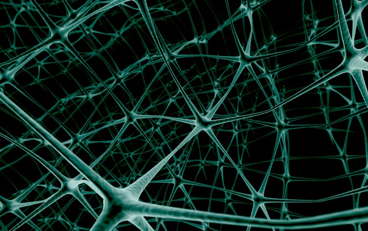 нейроны, сеть, связь, neurons, network, link