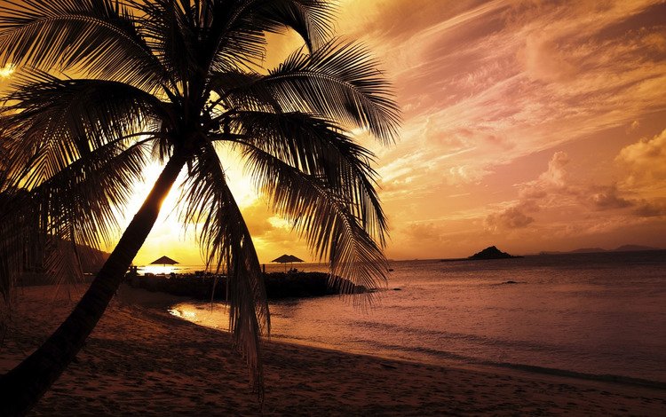 вода, пляжи, берег, море, песок, пейзажи, пальмы, океан, пальма, water, beaches, shore, sea, sand, landscapes, palm trees, the ocean, palma