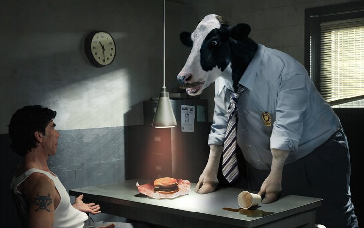 корова, допрос, следователь, cow, questioning, the investigator