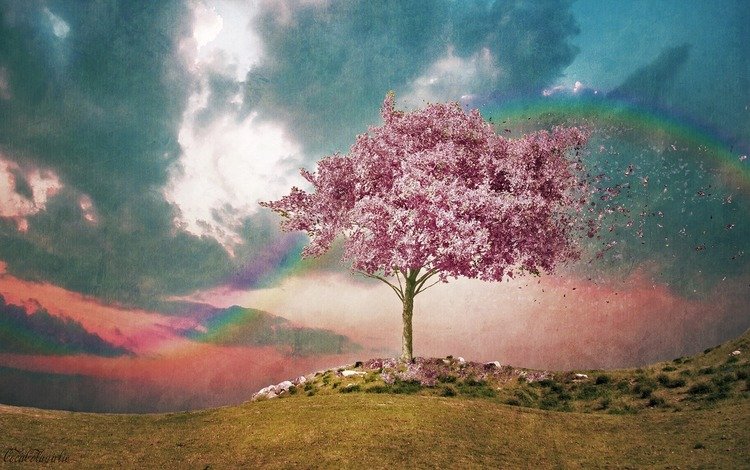 небо, дерево, цветение, радуга, ветер, акварель, розовое дерево, фактура, the sky, tree, flowering, rainbow, the wind, watercolor, pink tree, texture
