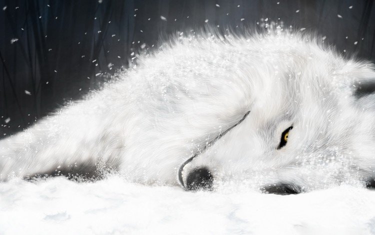 рисунок, белый, волк, волчий дождь, figure, white, wolf, wolf's rain