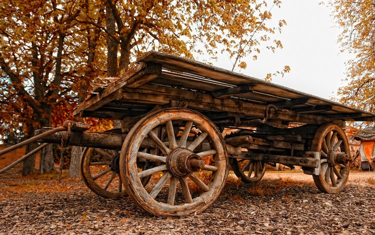 осень, старый, повозка, autumn, old, wagon
