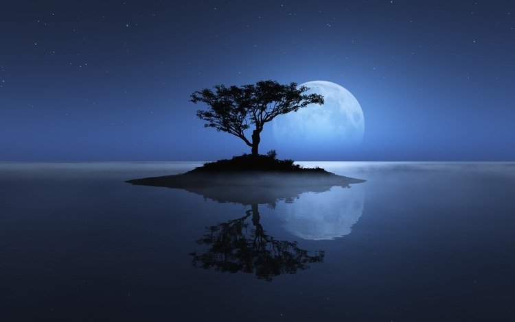 небо, дерево, море, луна, остров, the sky, tree, sea, the moon, island