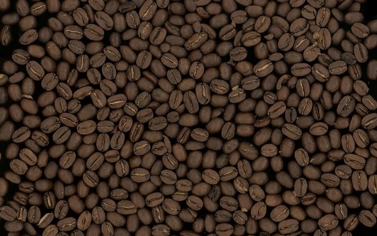 обои, зерно, текстуры, макро, фото, фон, зерна, кофе, кофейные зерна, wallpaper, texture, macro, photo, background, grain, coffee, coffee beans