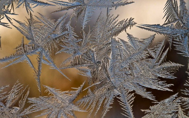 зима, стекло, наледь, winter, glass, frost
