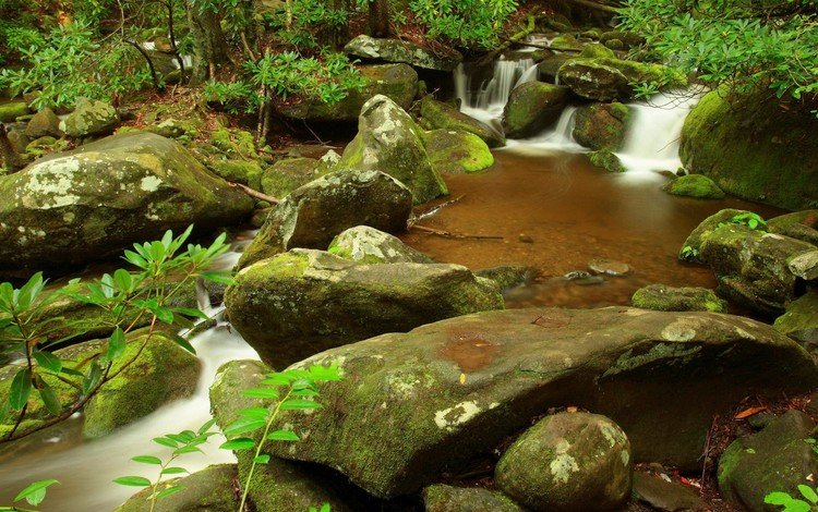 камни, листья, ручей, водопад, stones, leaves, stream, waterfall