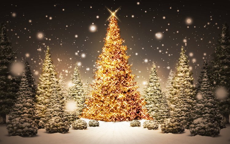 огни, новый год, елка, украшения, lights, new year, tree, decoration
