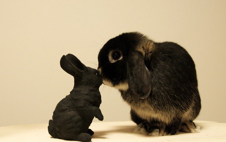игрушка, кролик, зайчик, toy, rabbit, bunny
