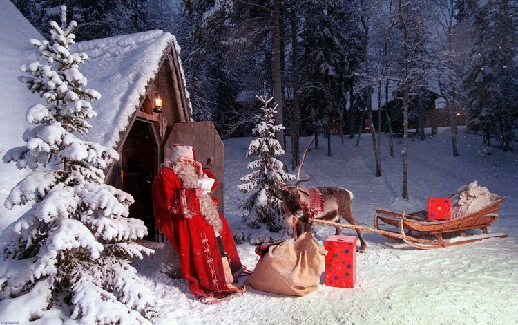 новый год, олень, зима, рождество, санта клаус, new year, deer, winter, christmas, santa claus