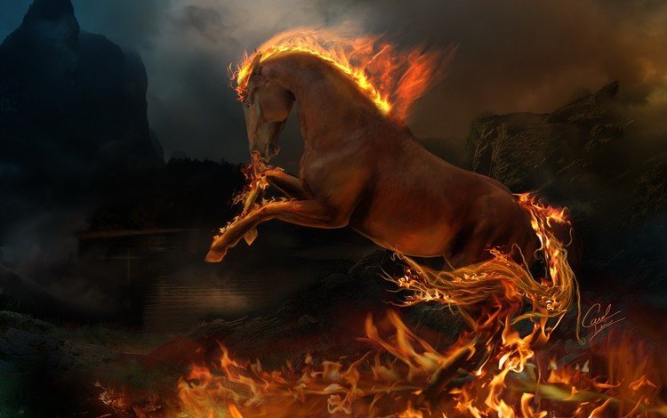 пламя, огонь, животное, конь, flame, fire, animal, horse