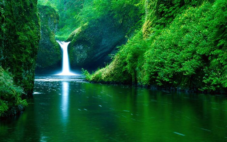 река, зелень, водопад, river, greens, waterfall