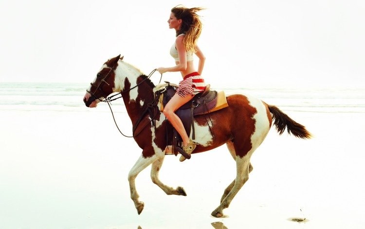лошадь, девушка, пляж, модель, жезель бунхен, жизель бундхен, horse, girl, beach, model, zhezel ' bunchen, gisele bundchen