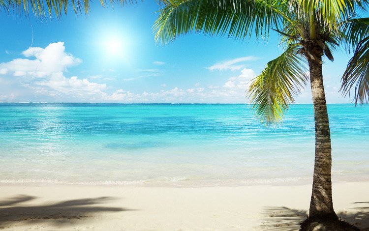 вода, океан, солнце, пальма, берег, пляжи, фото, море, песок, пейзажи, пальмы, water, the ocean, the sun, palma, shore, beaches, photo, sea, sand, landscapes, palm trees