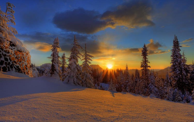 небо, елки, облака, снег, природа, лес, закат, зима, красота, the sky, tree, clouds, snow, nature, forest, sunset, winter, beauty