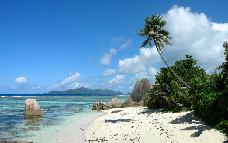 море, пляж, пальмы, остров, sea, beach, palm trees, island