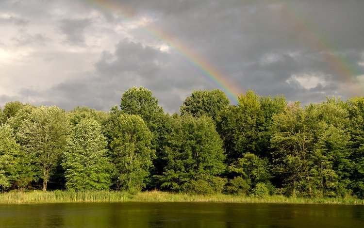 деревья, вода, река, зелень, лес, радуга, trees, water, river, greens, forest, rainbow