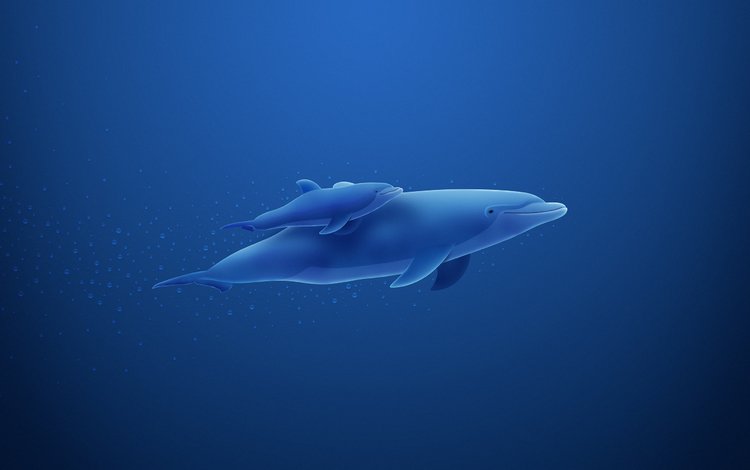 синий, пузыри, дельфин, blue, bubbles, dolphin