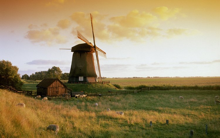 закат, горизонт, нидерланды, ветряная лестница, sunset, horizon, netherlands, windmill ladder