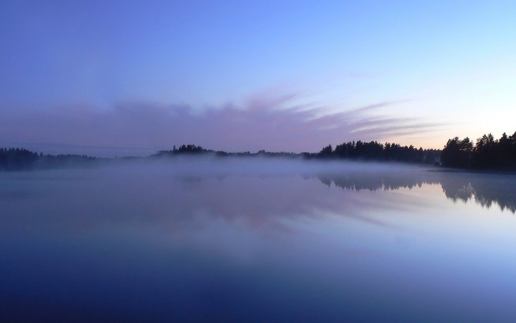 деревья, озеро, отражение, туман, trees, lake, reflection, fog