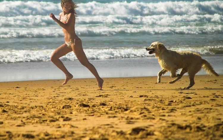 берег, бег, девушка, настроение, море, песок, пляж, собака, игра, shore, running, girl, mood, sea, sand, beach, dog, the game