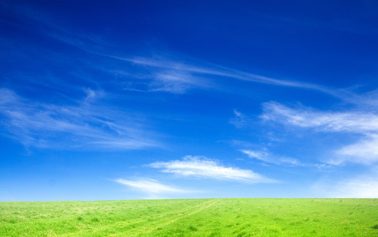 небо, трава, природа, обои, поле, пейзажи, the sky, grass, nature, wallpaper, field, landscapes