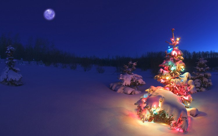 снег, елка, гирлянда, snow, tree, garland